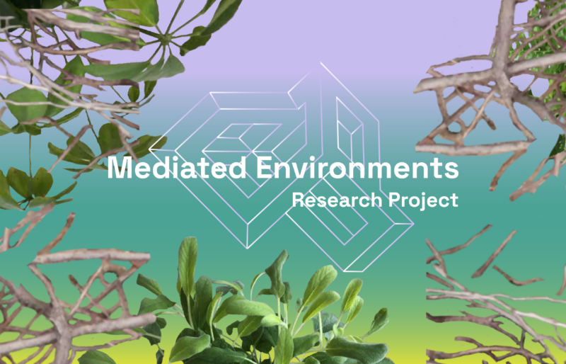 Mediated environments. New Practices in Humanities and Transdisciplinary Research